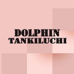 zip-dolphin-tankiluchi