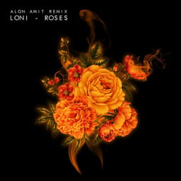 album-alon-amit-roses-ep