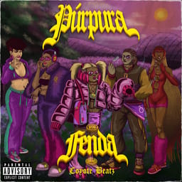 album-purpura-fenda-co