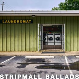 zip-laundromat-stripmall