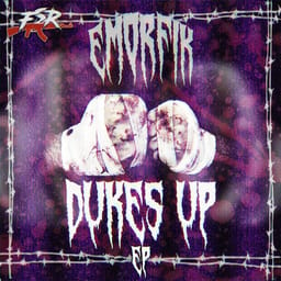 zip-emorfik-dukes-up-e