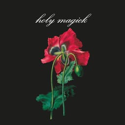 album-holy-magic-holy-magic