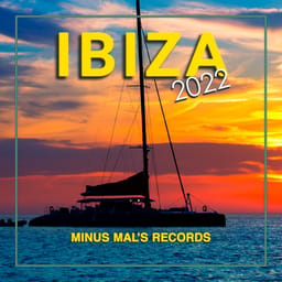 download-softmal-ibiza-202