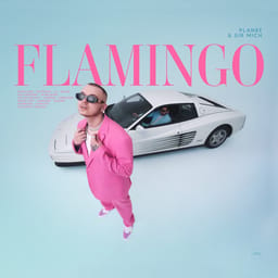 download-flamingo-planbe