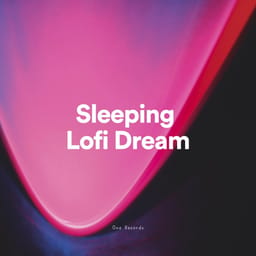 downloadsleepingllofisleep