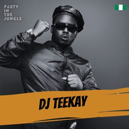 download-party-in-dj-teekay