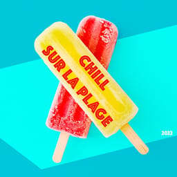 zip-chill-sur-various-ar