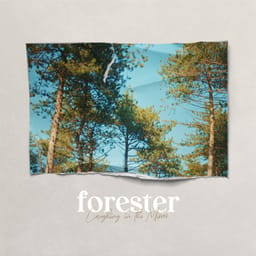 zip-forester-laughing-i