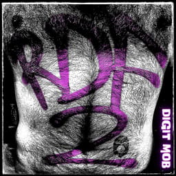 download-richtig-d-digit-mob