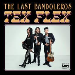 album-the-last-b-tex-flex