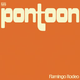 download-flamingo-pontoon