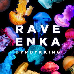 downloadraveenkadypdykking