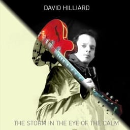 download-david-hil-the-storm