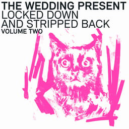 album-the-weddin-locked-dow