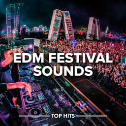 zip-edm-festiv-various-ar