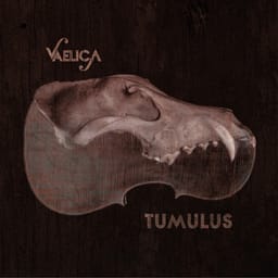 album-vaelica-tumulus