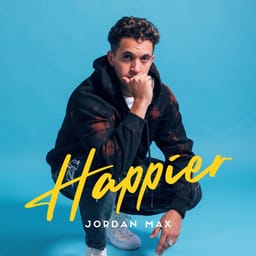 zip-jordan-max-happier