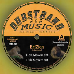 zip-lion-movem-brizion