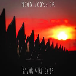 album-moon-looks-razor-wire