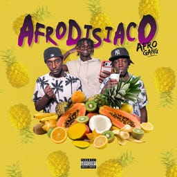 album-afrodisiac-afro-gang