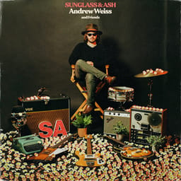 album-andrew-wei-sunglass