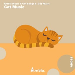 album-ambia-musi-cat-music