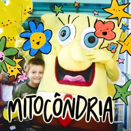 album-mitocondri-meleca