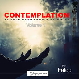 albumcontemplatfalco