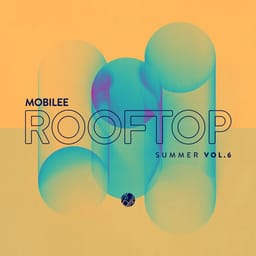 album-mobilee-ro-verschille