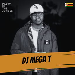 download-dj-mega-t-party-in