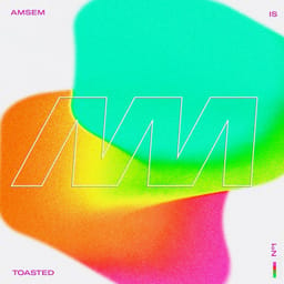 album-amsem-is-t-multi-inte