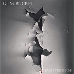 album-from-the-i-gum-bucket