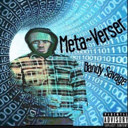 download-meta-vers-bandy-sav