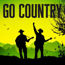 album-go-country-verschille