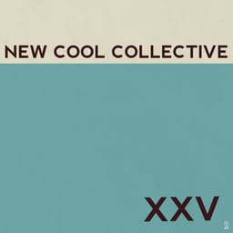 zip-xxv-new-cool-c