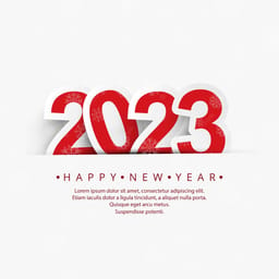 happy new years! 2023 project