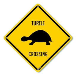 Day 23 - Turtle crossing