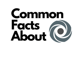 Common Facts About Replit