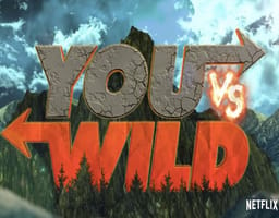 You vs Wild - A Decisions Game