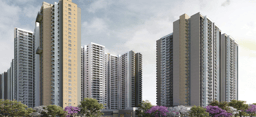 jofaha4595