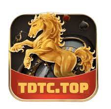 tdtctop2023