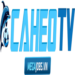 megajobsvn