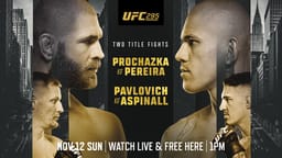 watch295ufc