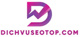 dichvuseotopv