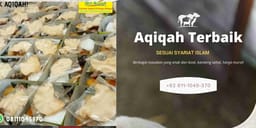 aqiqahanak