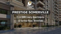 prestigesomerv2