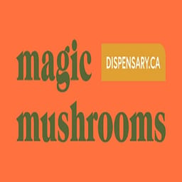 magicmushrooms1