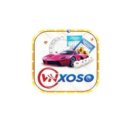 vnsoxome