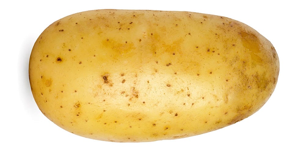 Potato Program