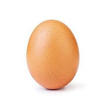 The Egg 🥚